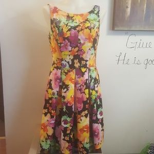 THE LIMITED FIT & FLARE DRESS NWT FLORAL SZ 6